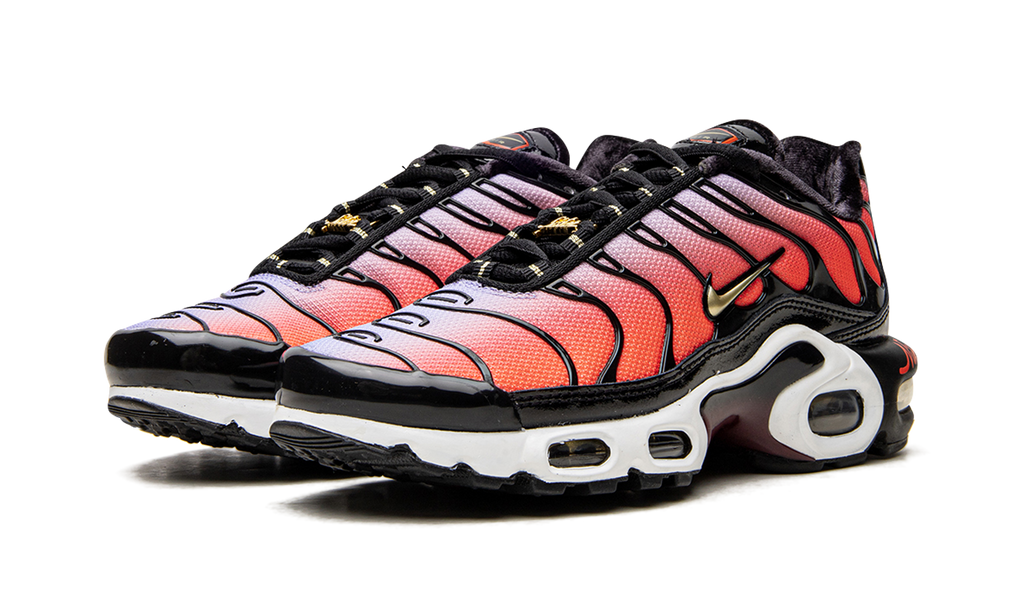 AIR MAX PLUS MNS WMNS"Sisterhood" DO6115 500
