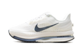 Air Zoom Pegasus Premium WMNS"Sail Off Noir" HQ2593 106