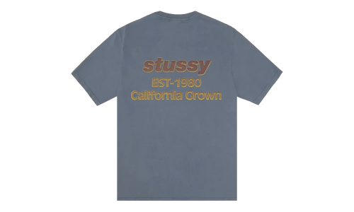California Grown Pigment Dyed Tee "Navy" STUS391