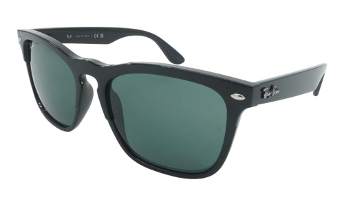 Steve Sunglasses "Black" RB4487-662971_54
