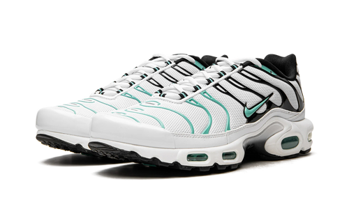 Air Max Plus "Atmos" 604133 148