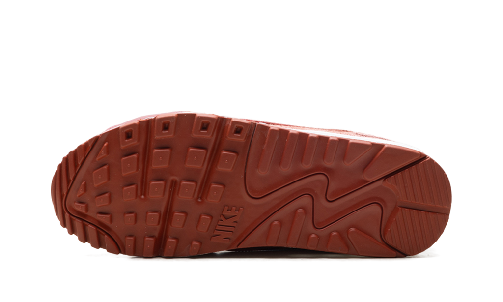 Air Max 90 Futura WMNS"Red Stardust" FQ8881 618