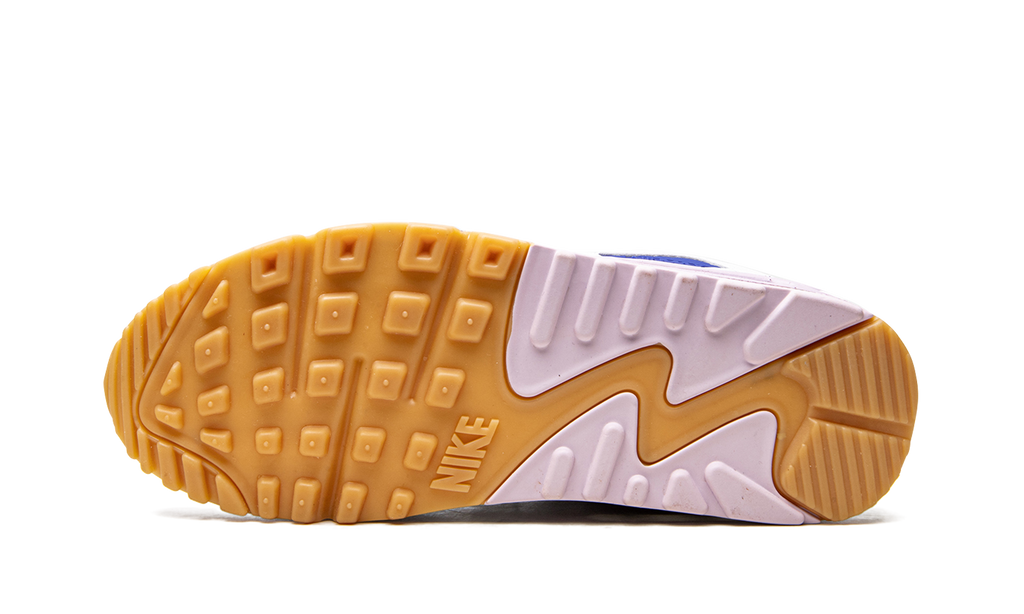 AIR MAX 90 WMNS DX3316 100