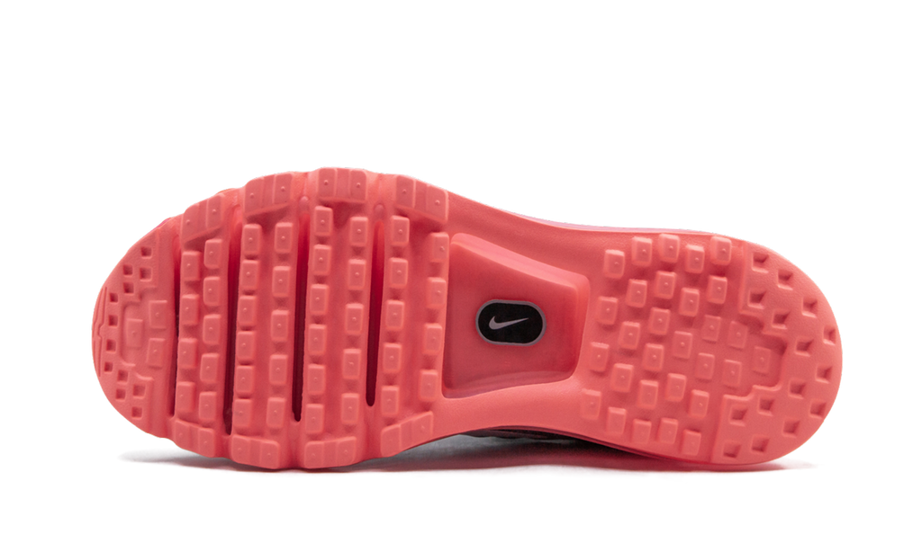 AIR MAX 2017 MNS WMNS"Platinum" 849560 007