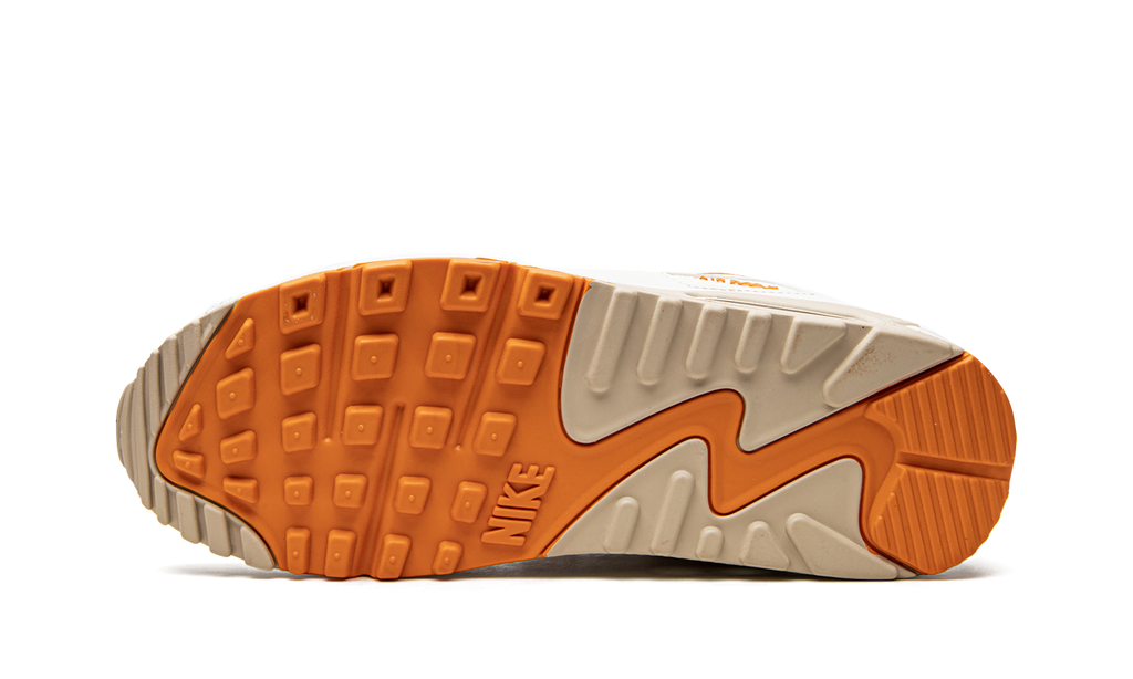 AIR MAX 90 SE WMNS DQ8593 001